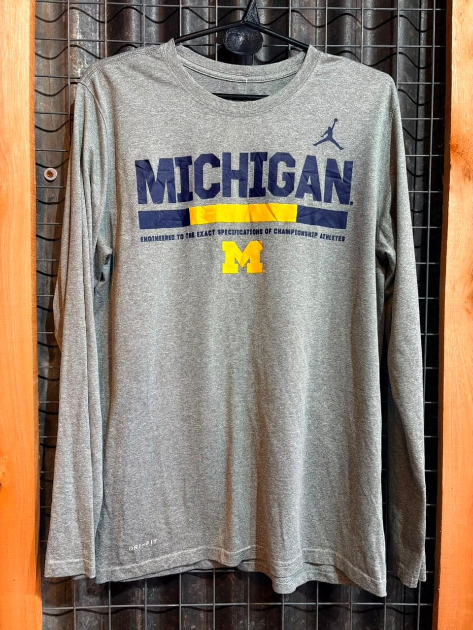 Remera manga larga Michigan Jordan